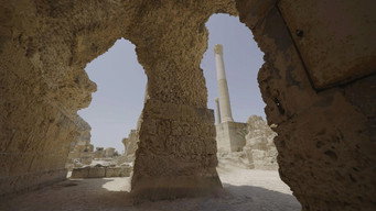 Ancient Megacities (2024- )