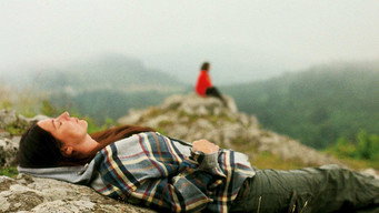 Zephyr (2010)