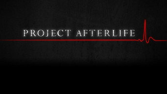 Project Afterlife (2015- )