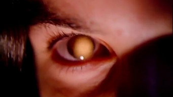 Alucarda (1977)