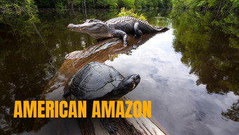 Cena 1 de American Amazon