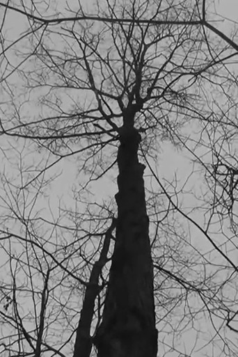 Untitled - [Into The Wild]