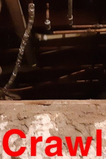 The Crawlspace (2021)