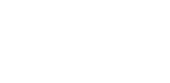 The Wedding Veil Inspiration logo