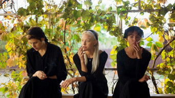 Episode 8 — Episode 8