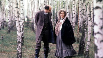 Panny i wdowy (1991)