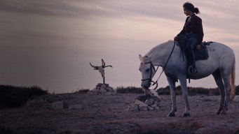 #10 Animale