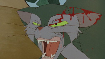 #12 Felidae