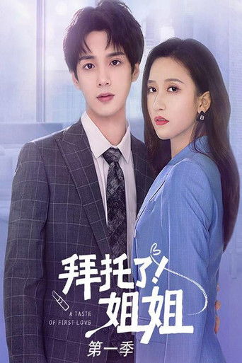 拜托了！姐姐第一季 poster