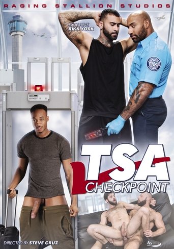 TSA Checkpoint (2017)