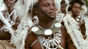 The Pan-african Festival in Algiers (1969)