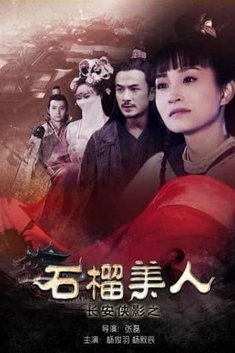 Poster of 长安侠影之石榴美人