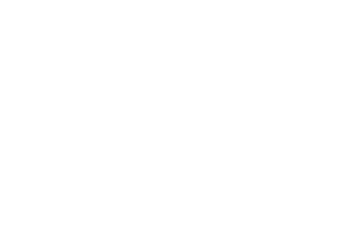 The Invisible Shield logo
