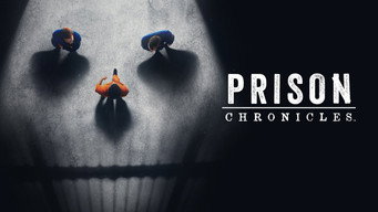Prison Chronicles (2024- )