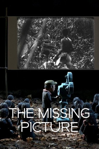 The Missing Picture