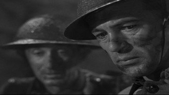 #7 Сержант Йорк