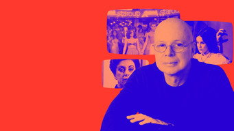 Gilberto Braga: Meu Nome é Novela (2021)