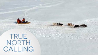 #3 True North Calling