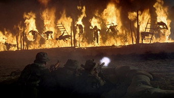 #14 The Green Berets