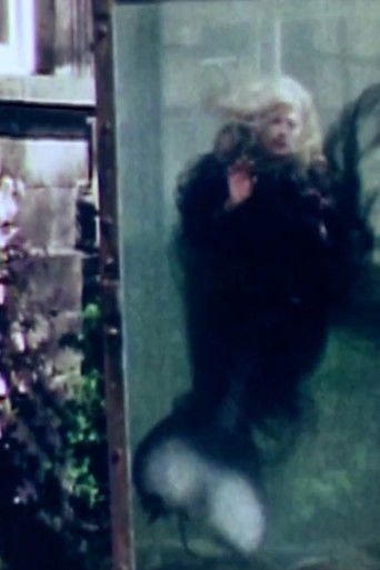 Cartell de The Little Mermaid