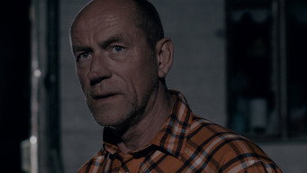 #3 The Cabin