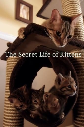 The Secret Life of Kittens torrent magnet 