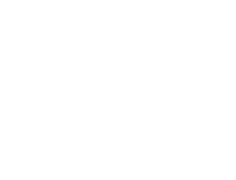 Bolt logo