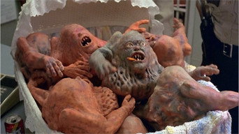 #5 Basket Case 3