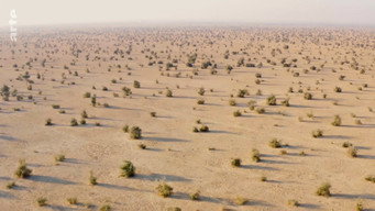 #15 Destination Wild: India