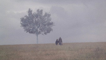 #21 Пейзаж у тумані