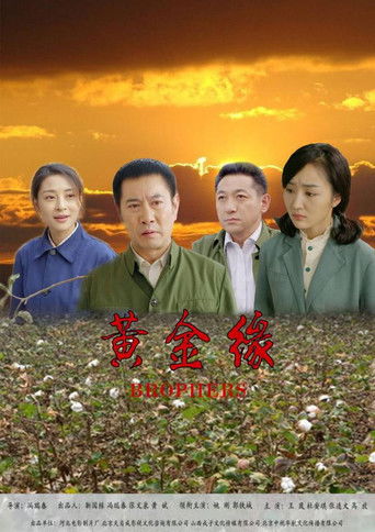 黄金缘 poster