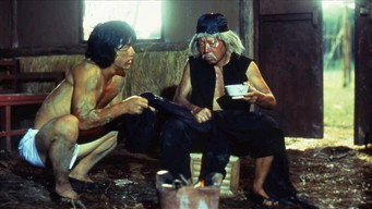 Drunken Master backdrop 4