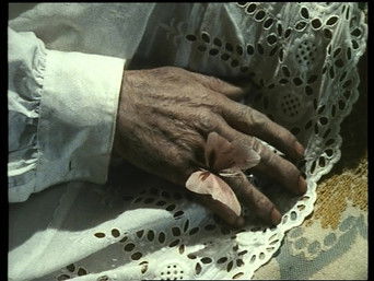 第6話:Butterflies 第6話:Butterflies