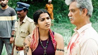 Episode 5 — Deciphering The Codex