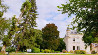 Nuestro propio castillo DIY - S3E01