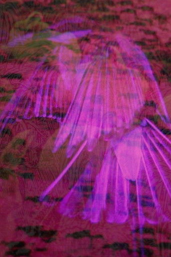 Missing In-Between the Physical Proper poster