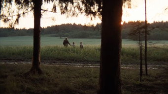 #68 Дзеркало