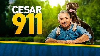 Cesar 911 (2014-2016)