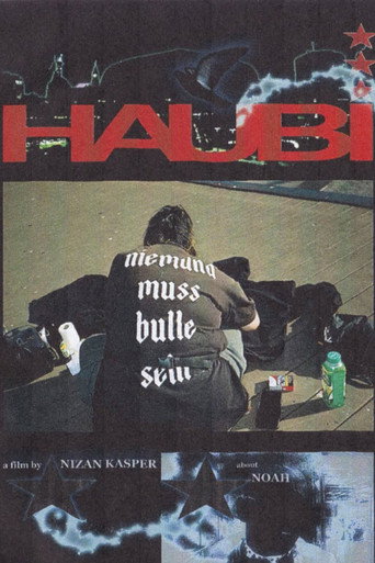 Haubi