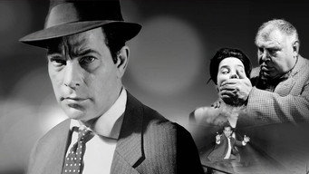 Tim Frazer Hunts the Mysterious Mr. X (1964)