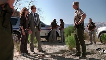 Aflevering 10 — Evil...And His Brother Ziggy