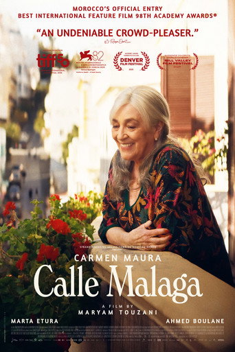 Calle Malaga poster