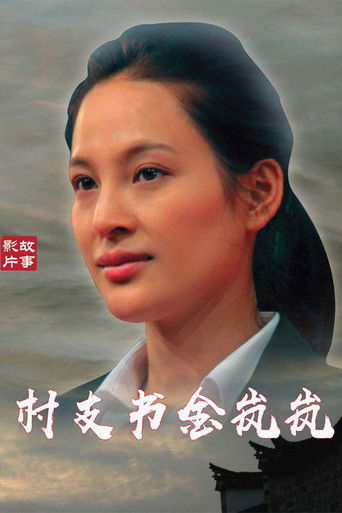 村支书金岚岚 poster