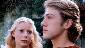 Fire and Sword (1981)