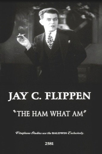 The Ham What Am (1928)