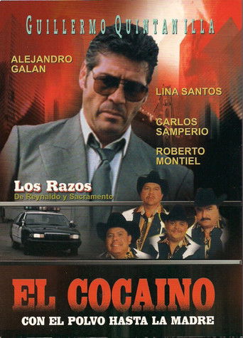 El cocaino, con el polvo hasta la madre poster