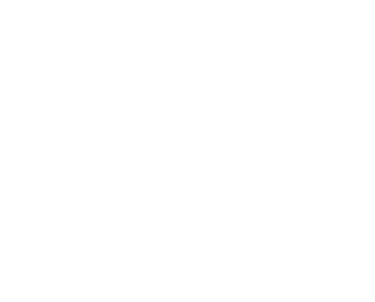AMAIM Warrior at the Borderline logo