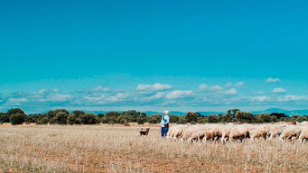Inland (2019)