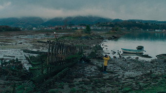 Galeria 5 - La isla de los faisanes