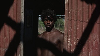 #56 Walkabout